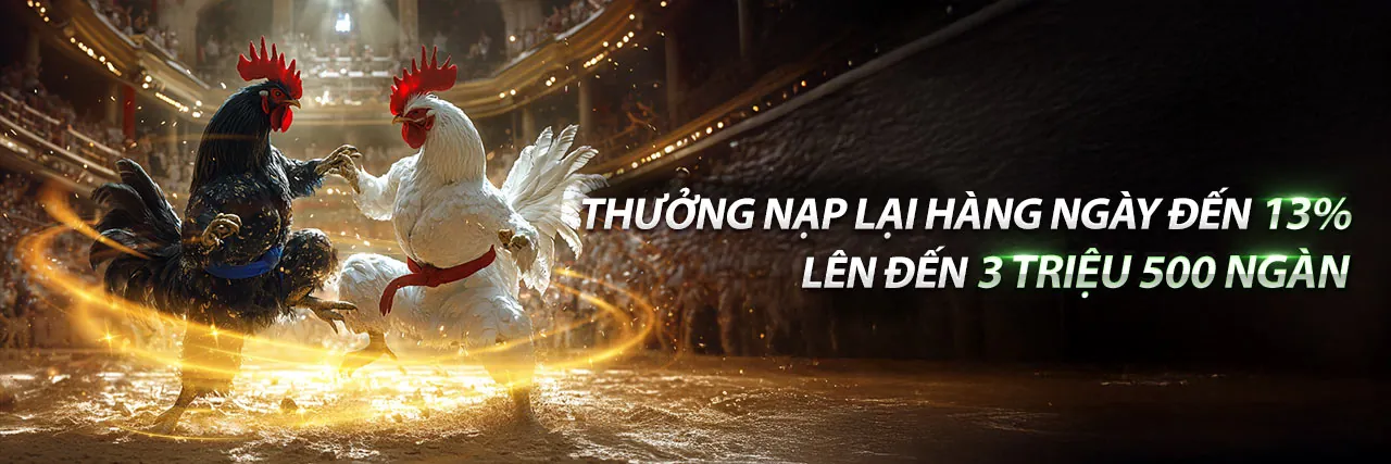 Banner kêu gọi hành động Cat88